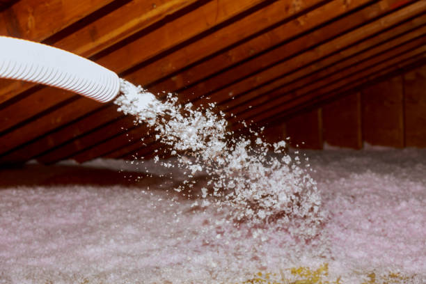Best Garage Insulation Installation  in Lone Jack, MO