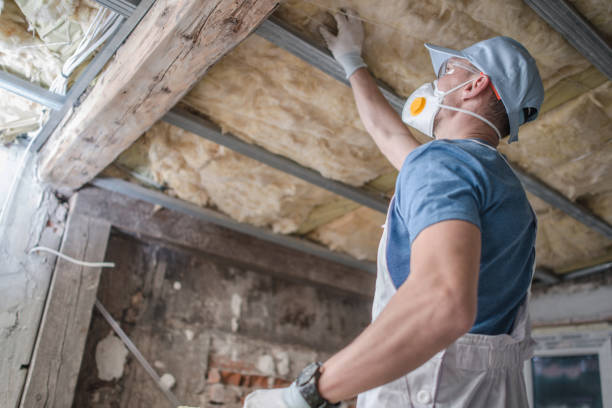 Best Insulation for New Construction  in Lone Jack, MO
