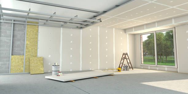 Best Insulation Contractor Near Me  in Lone Jack, MO