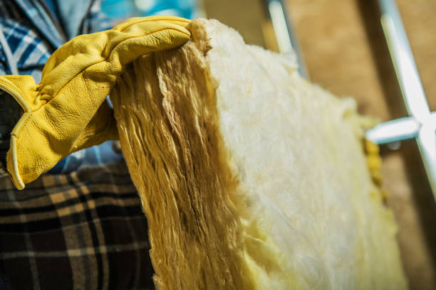 Best Garage Insulation Installation  in Lone Jack, MO