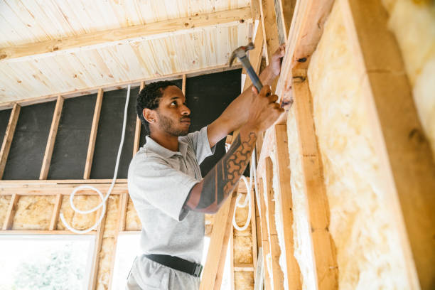 Best Insulation Repair Services  in Lone Jack, MO