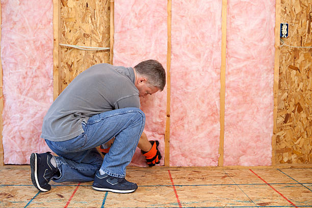Best Insulation Repair Services  in Lone Jack, MO