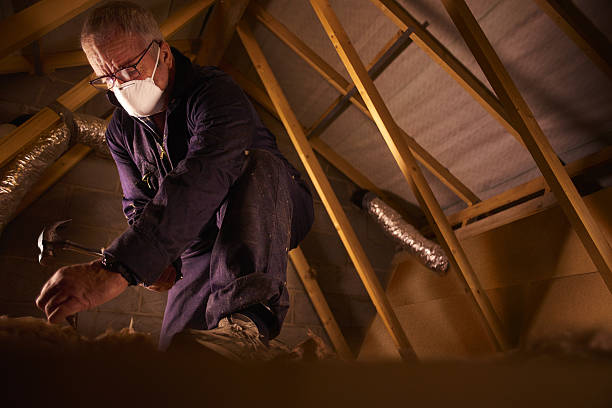 Soundproof Insulation Installation in Lone Jack, MO